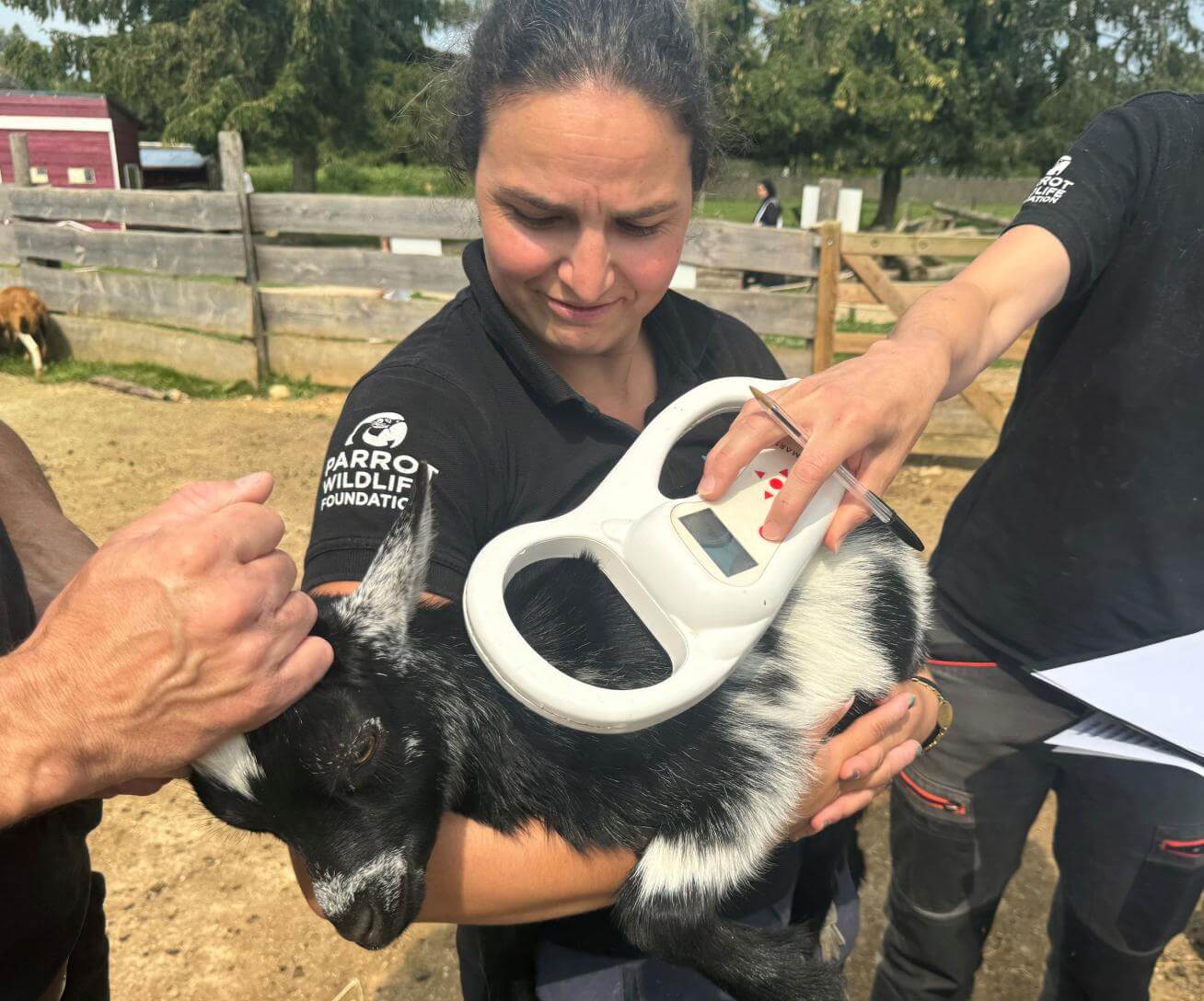 Soigneur animalier Parrot World - 4